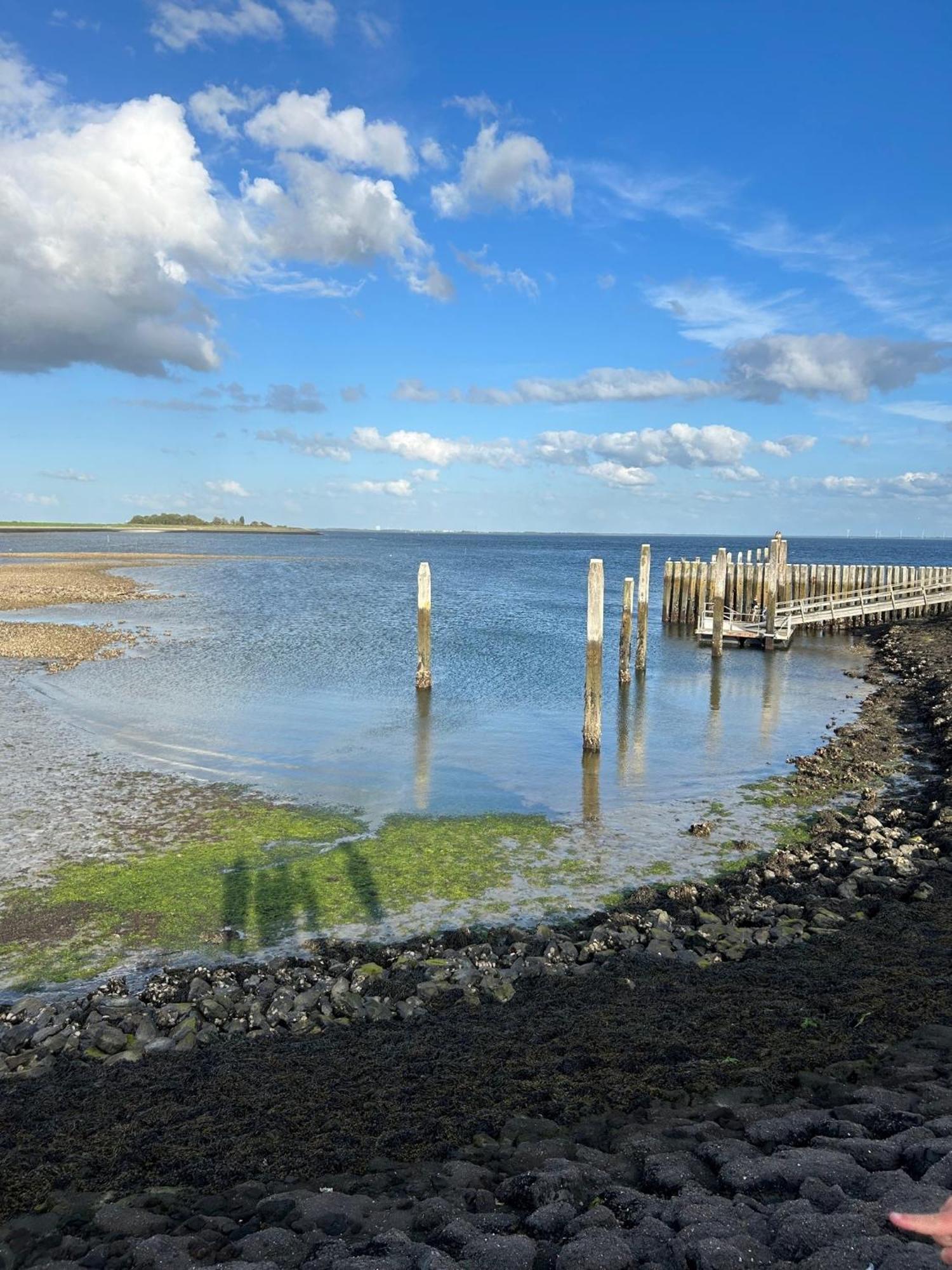Oosterschelde Lodge Met Veel Privacy En Dicht Bij Het Water Scherpenisse Exterior photo